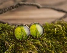 Įkelti vaizdą į galerijos rodinį, Auskarai vinukai "Lapelis"